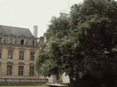 Behind the scenes in Paris. Filmed by Hyunji Lee