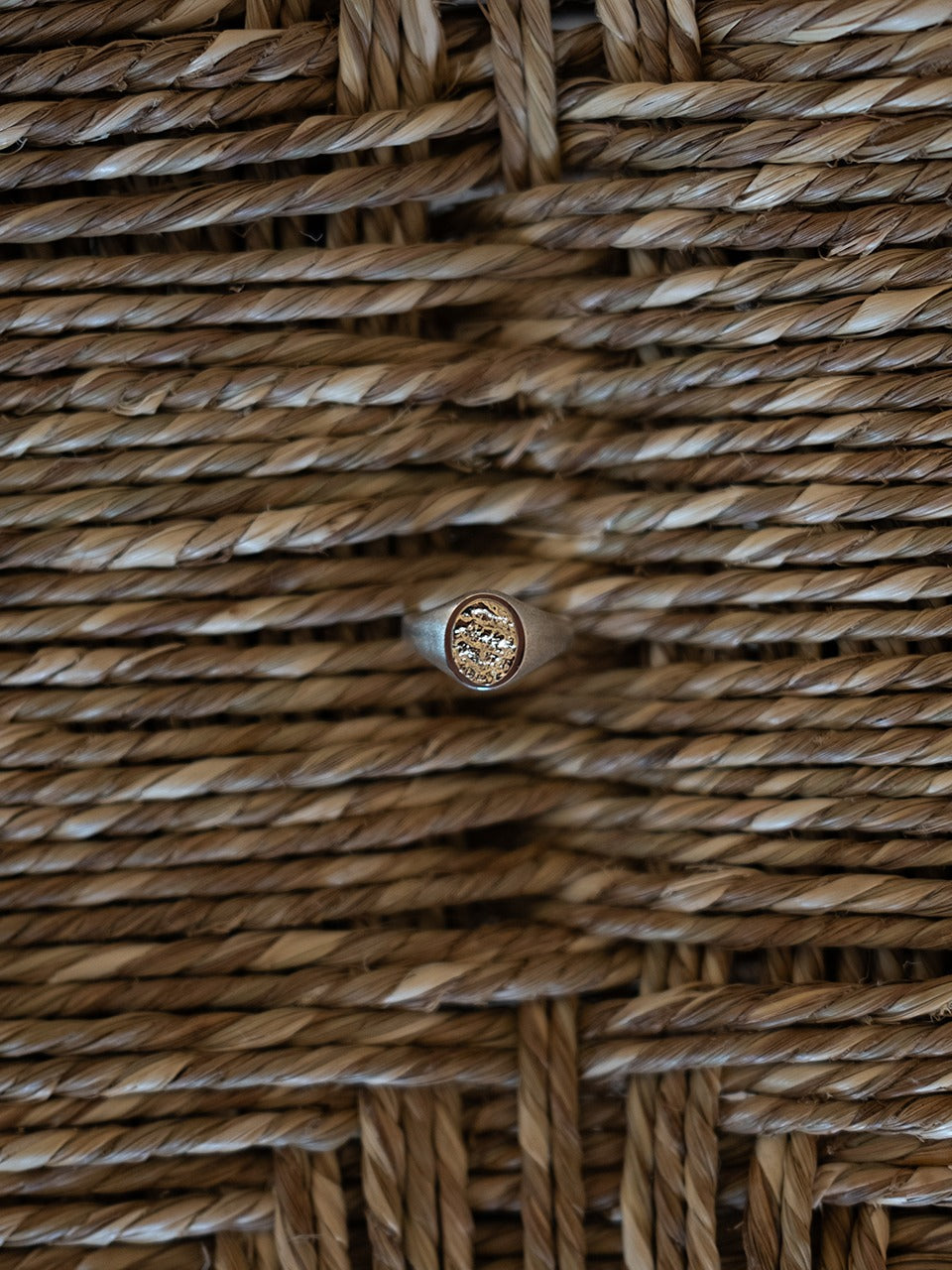 (14k) Twig Signet Ring