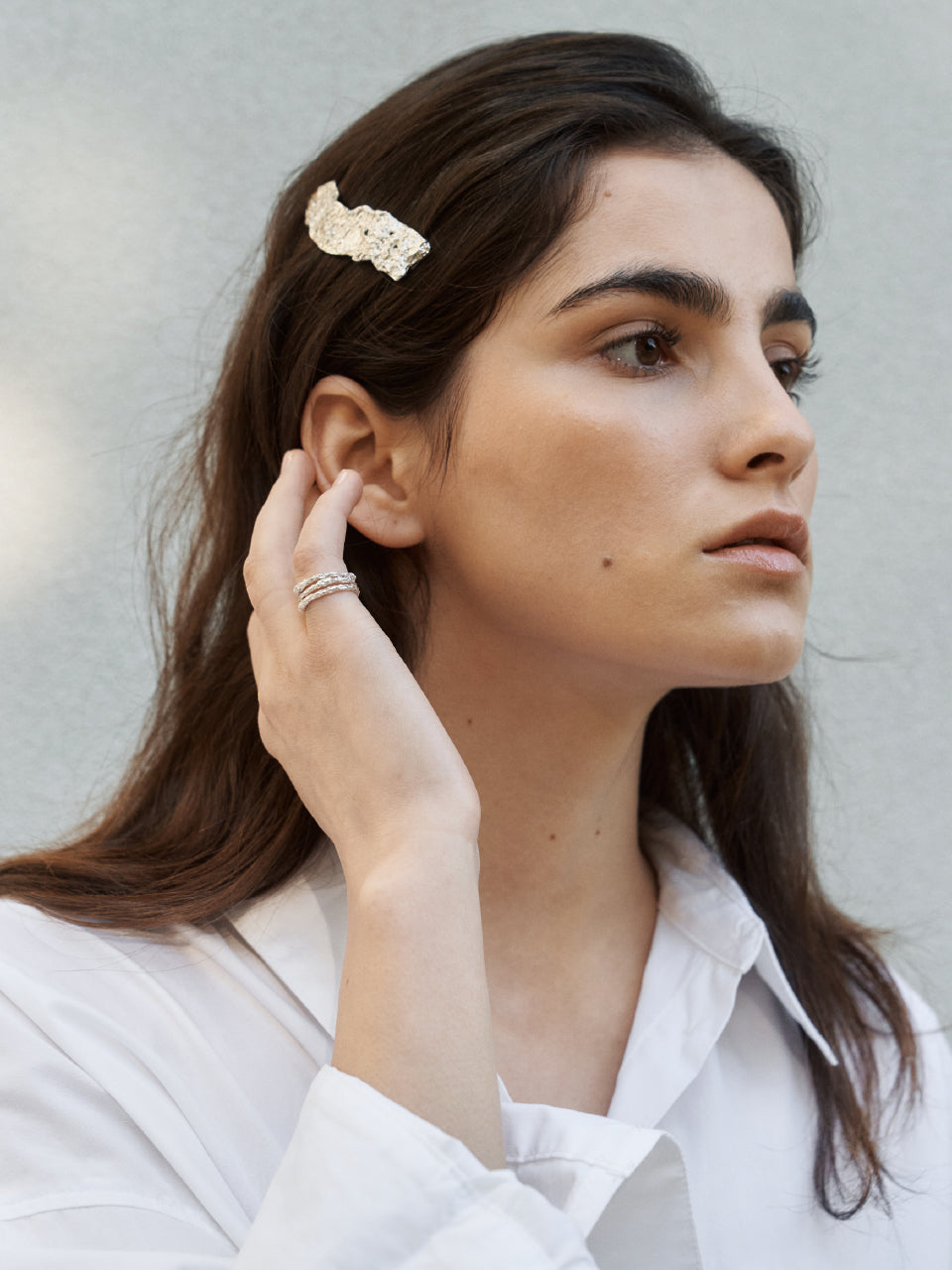 Twig Barrette