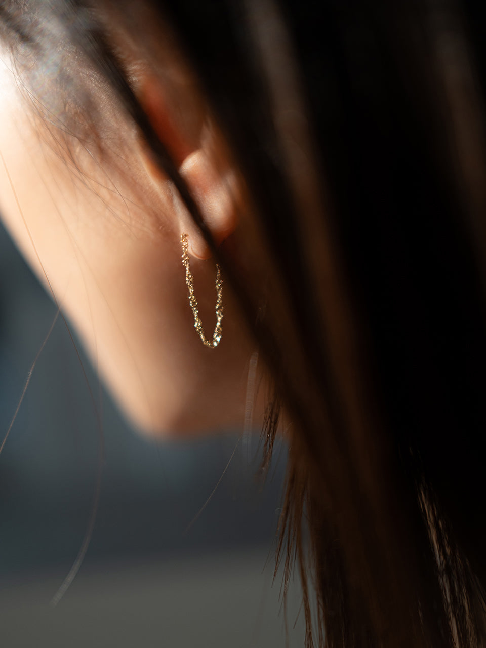 (14k) Mirabelle Chain Earring