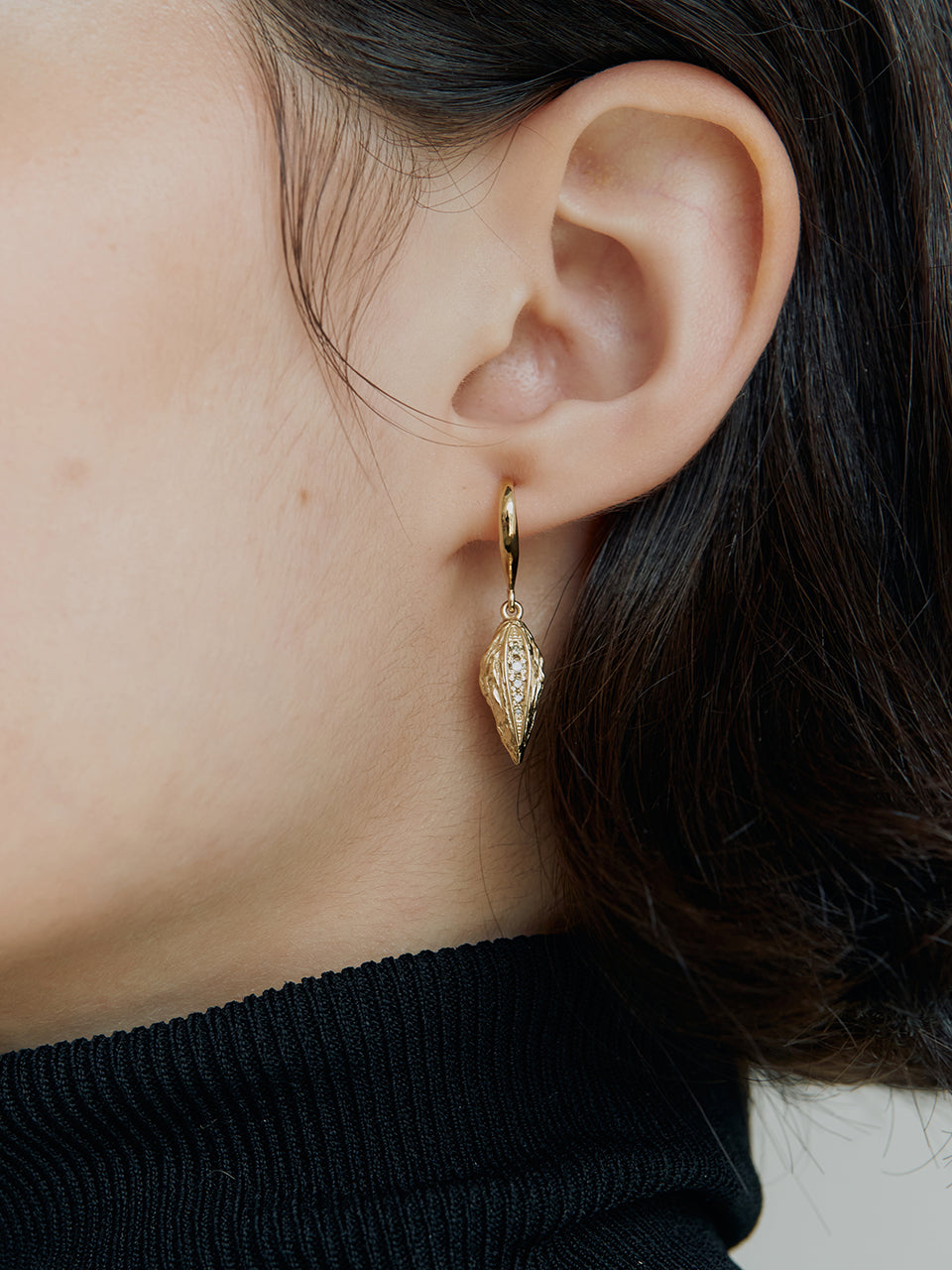 Dried Fruit Hook Earrings