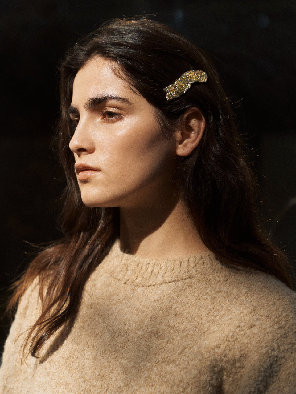 Twig Barrette