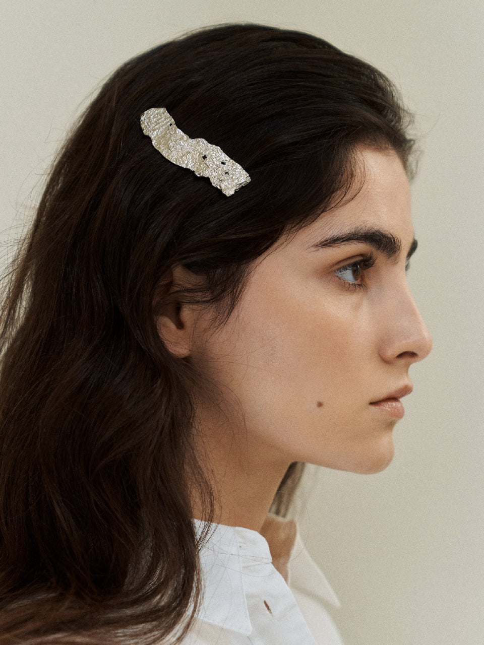 Twig Barrette