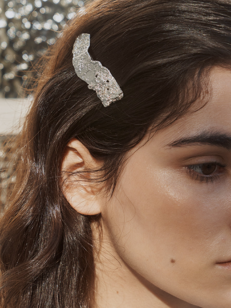 Twig Barrette