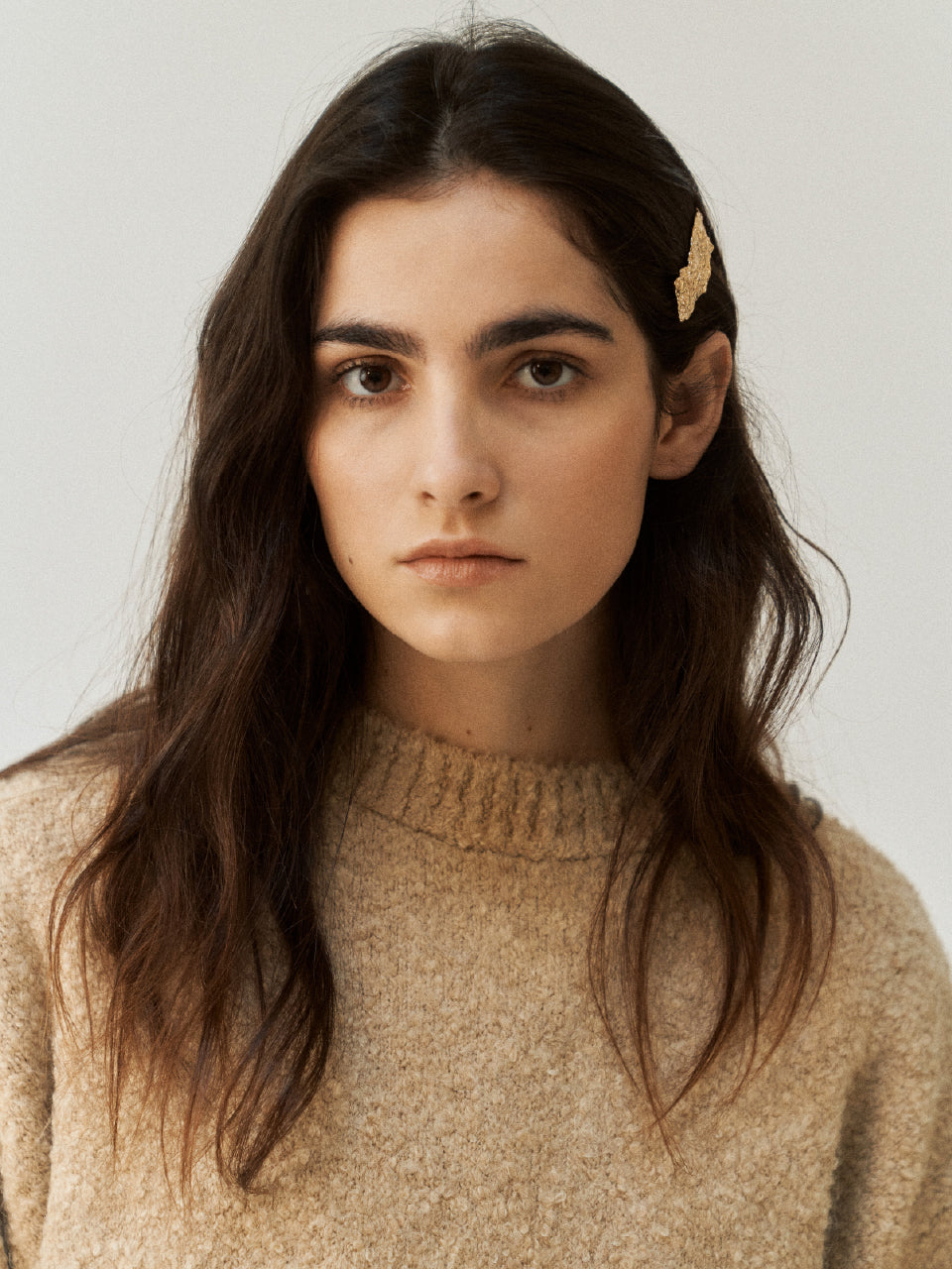 Twig Barrette