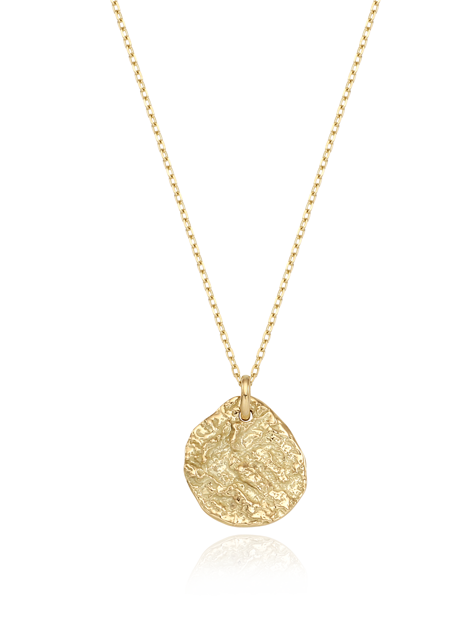 (14k) Twig Coin Necklace