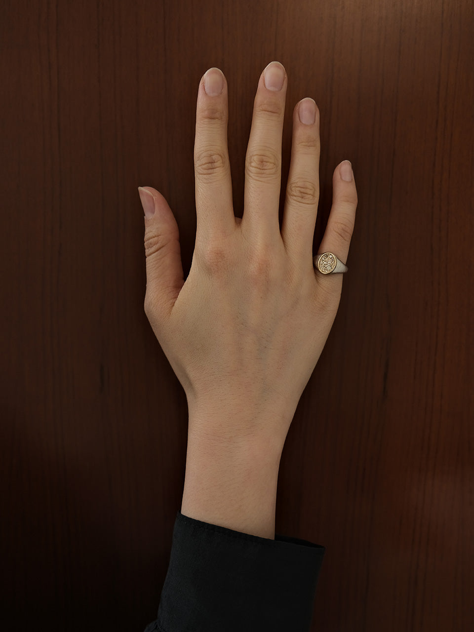 (14k)  Étoile Signet Ring