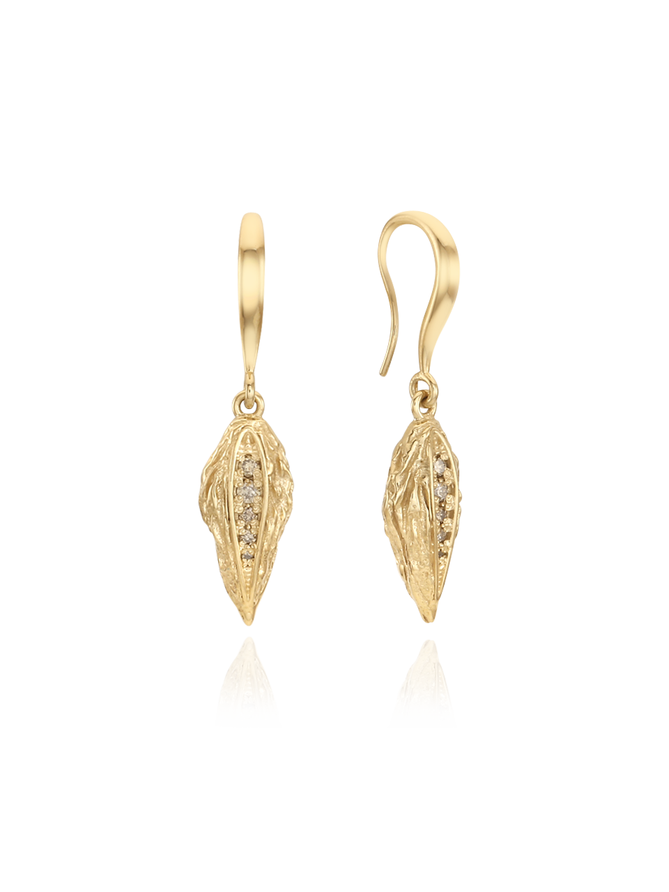 Dried Fruit Hook Earrings