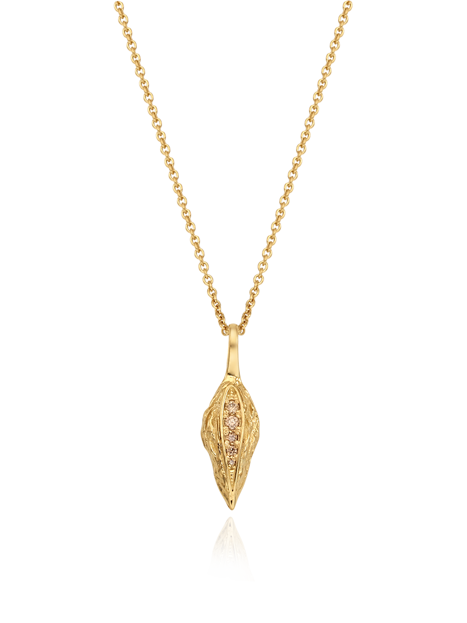 Dried Fruit Necklace