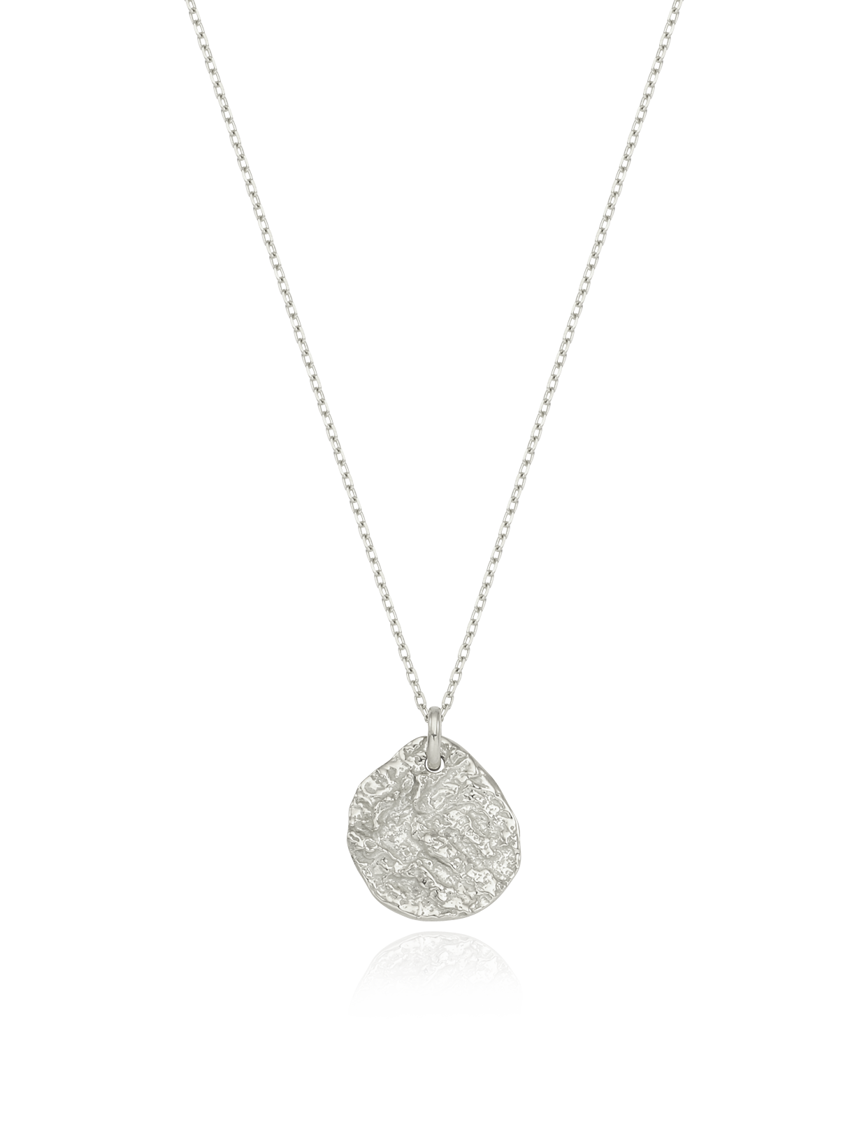 Twig Coin Necklace