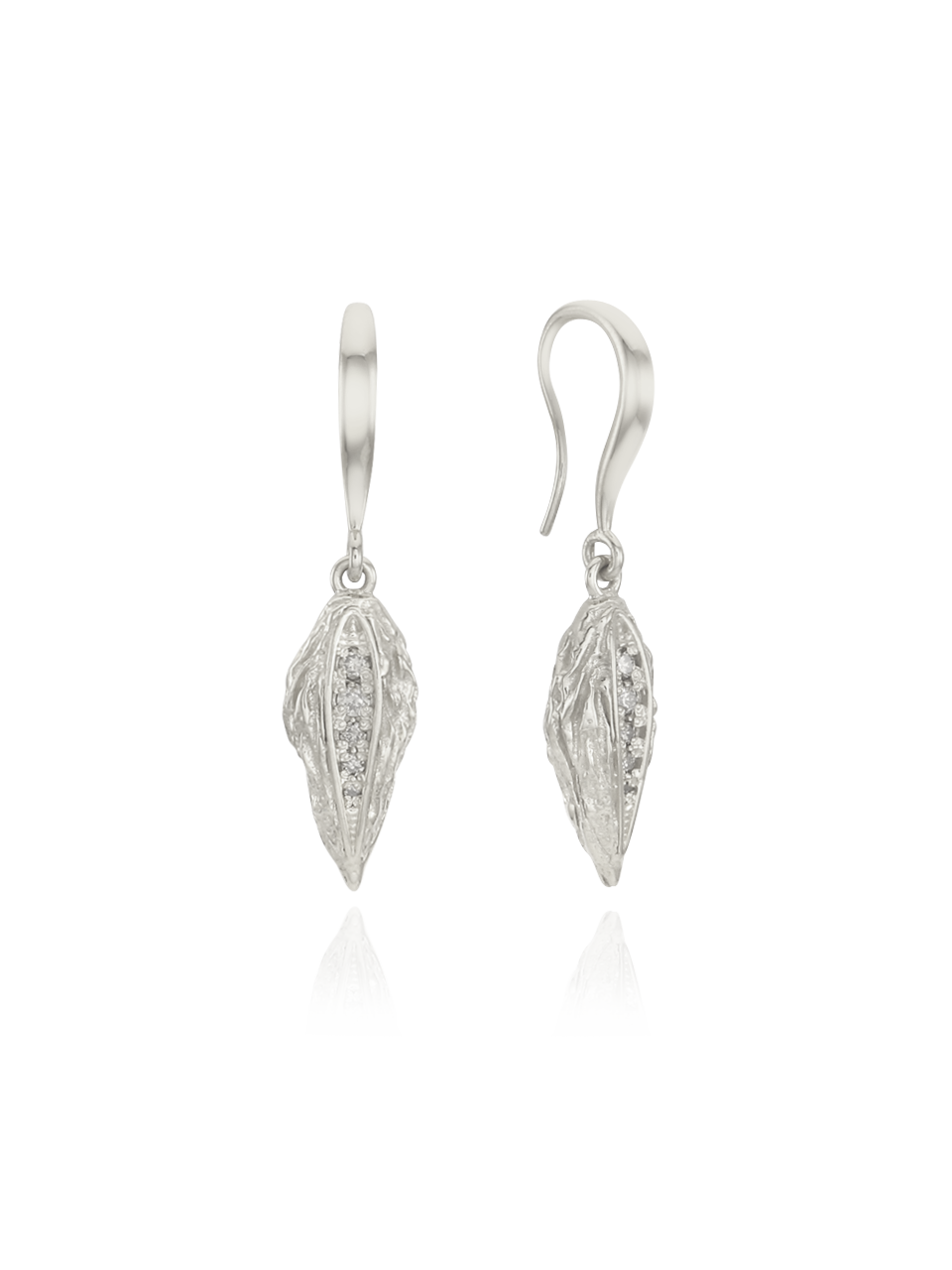 Dried Fruit Hook Earrings