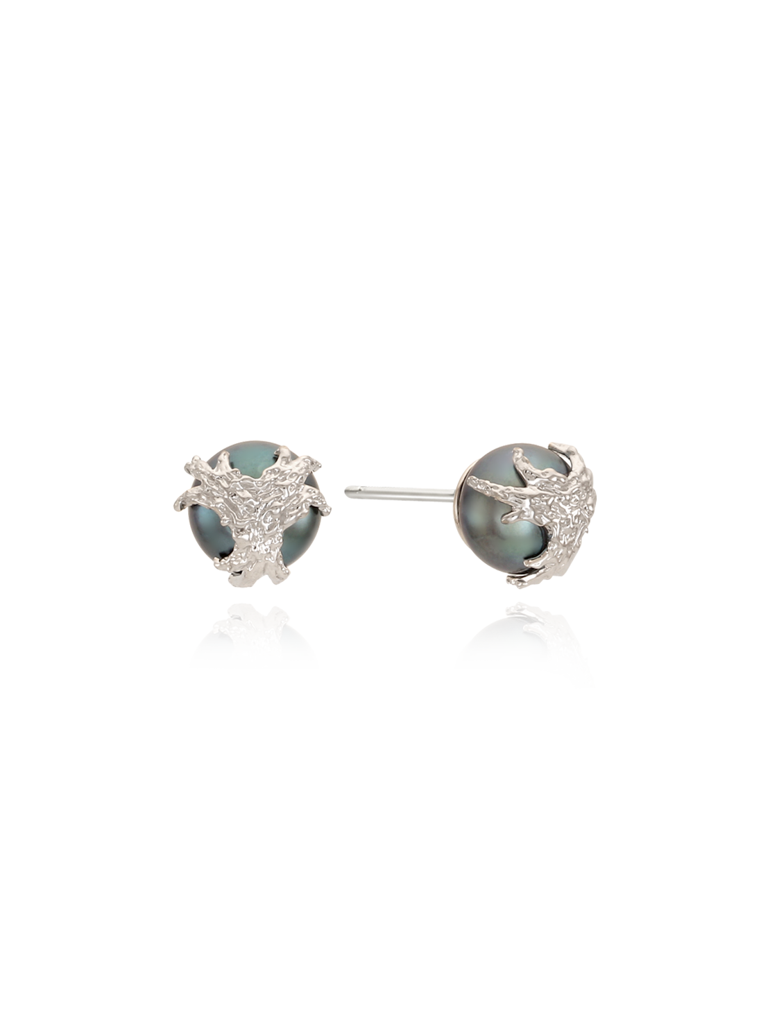 Twig Hugged Pearl Studs (A) (black pearl)
