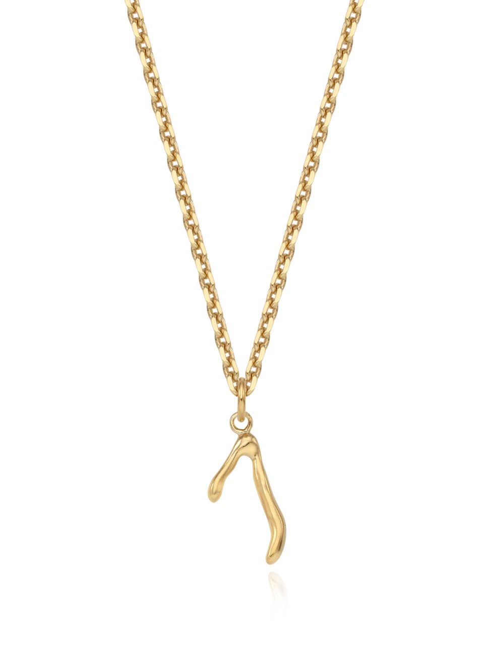 Initial Letter Necklace (bold chain)