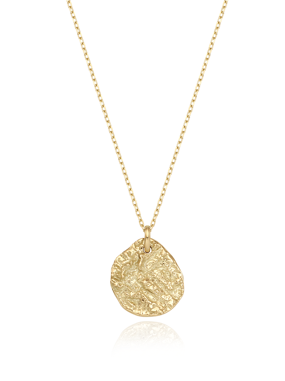 (14k) Twig Coin Necklace